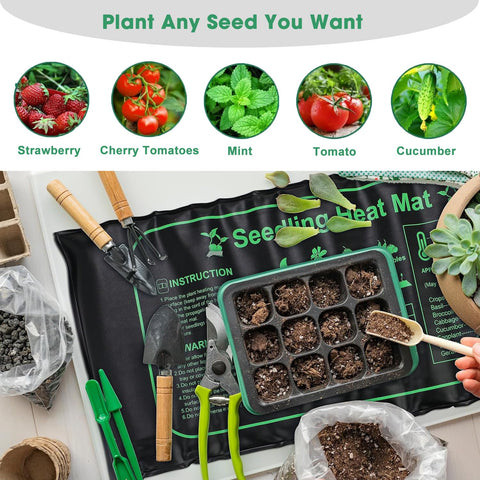 FINEST+ compact seedling environment setup for efficient care
