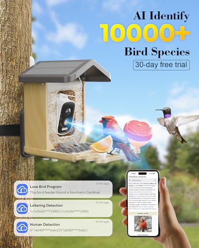 Fingarden Bird Feeder AI identify birds feature highlights species in real time