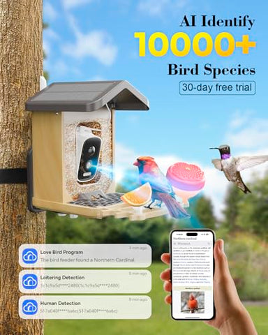 Fingarden Bird Feeder AI identify birds feature highlights species in real time