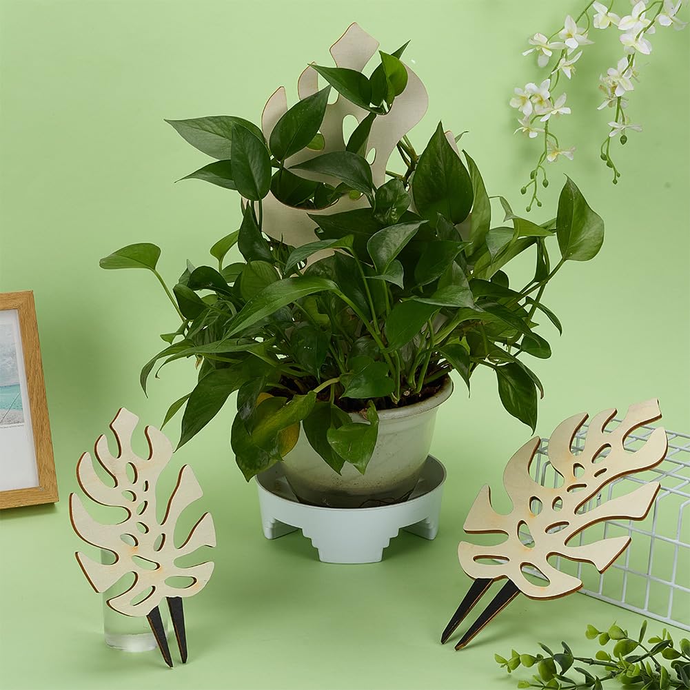 FingerInspire Floral White trellis collection adds decorative support for indoor plants