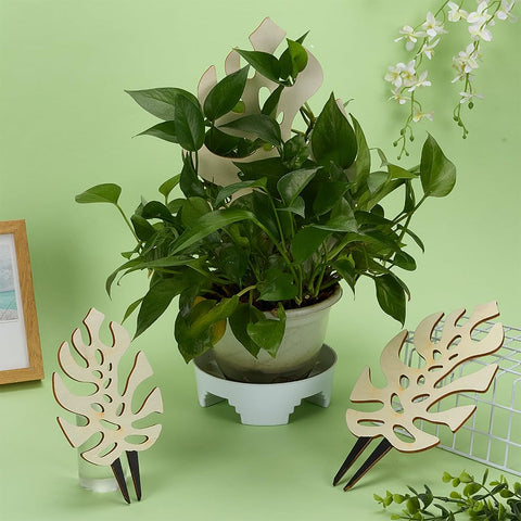 FingerInspire Floral White trellis collection adds decorative support for indoor plants