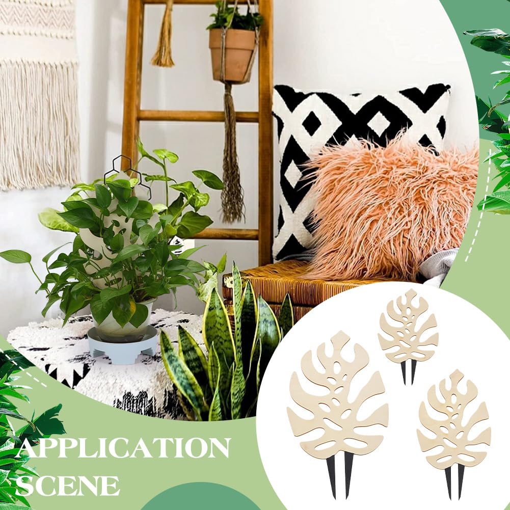 FingerInspire indoor climbing plants trellis helps organize small pots