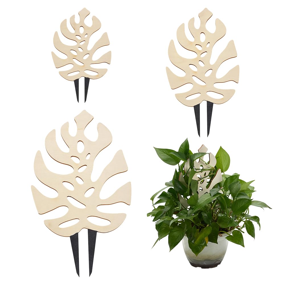 FingerInspire Monstera leaf wood trellis style 1 supports climbing vines with stylish display