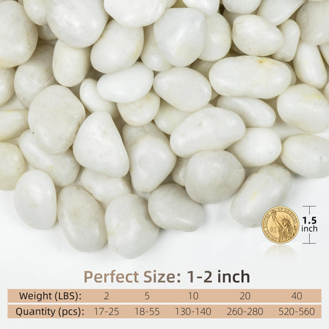 FINIKIS white pebbles aquarium decor enhances natural look and clarity.
