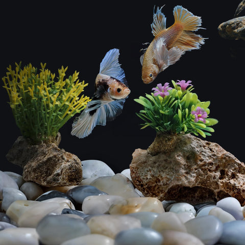 FINIKIS white pebbles centerpiece display creates eye-catching tablescapes.
