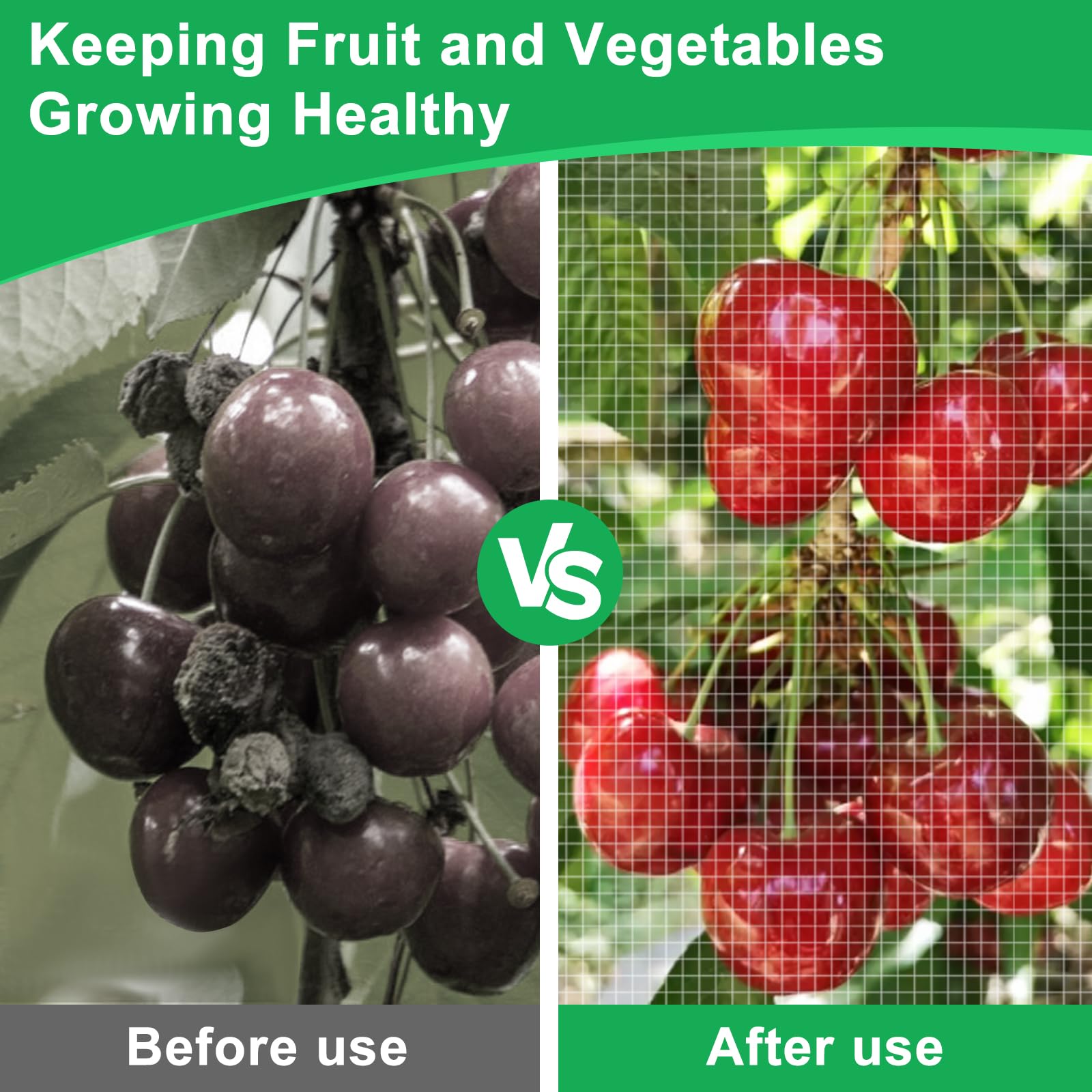Fippy bird netting over fruit trees guarding harvest from birds