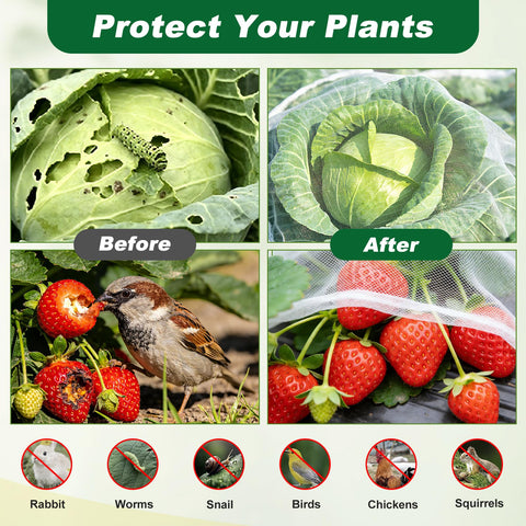 Fippy netting covers a raised bed protecting vegetables from pests.