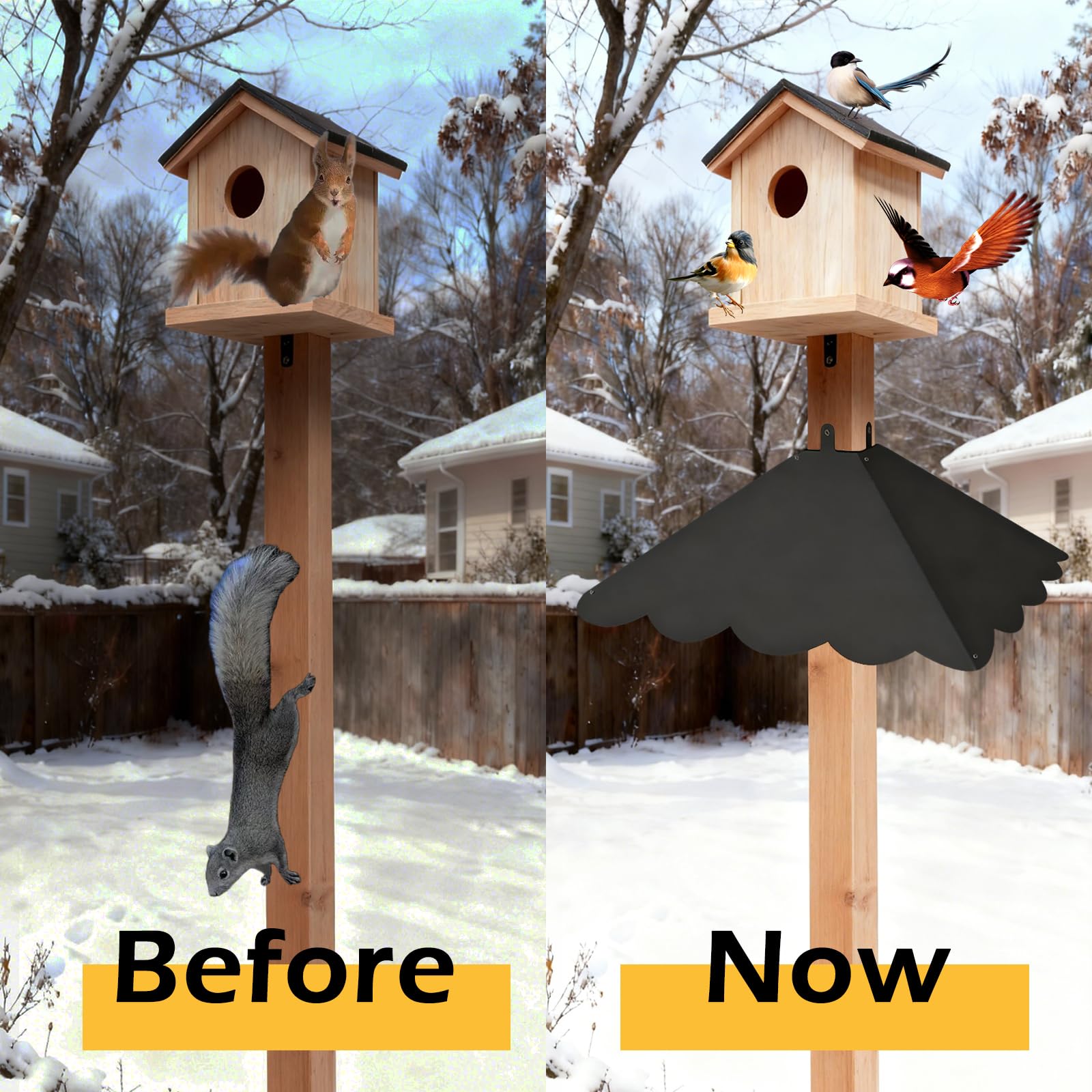 Firmlly bird feeder protection baffle helps keep seeds available longer.