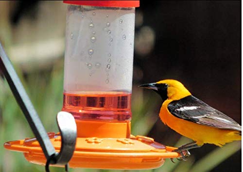 FIRST NATURE 3088 10 feeding ports enables multiple orioles to feed at once.