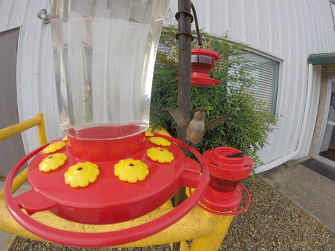 First Nature easy-fill cap simplifies refilling without spills or mess.