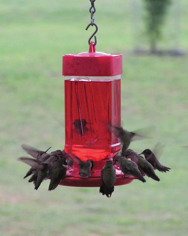 First Nature 10-port feeding station supports multiple hummingbirds at once.