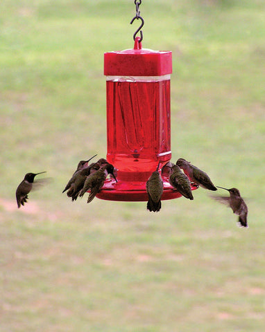 First Nature leakproof sealing ring prevents nectar spills and keeps the area clean.