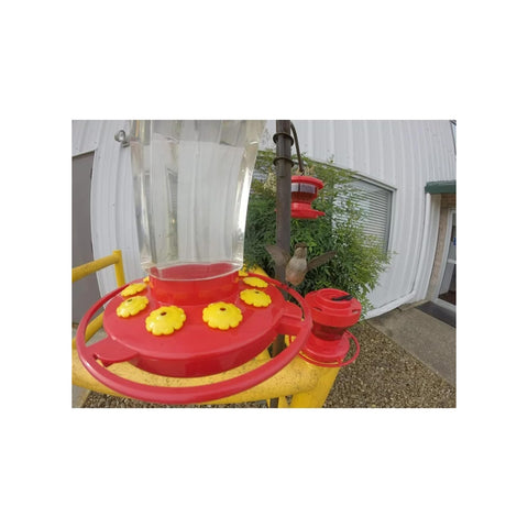 First Nature hummingbird feeder features a vibrant multicolor design that attracts birds.
