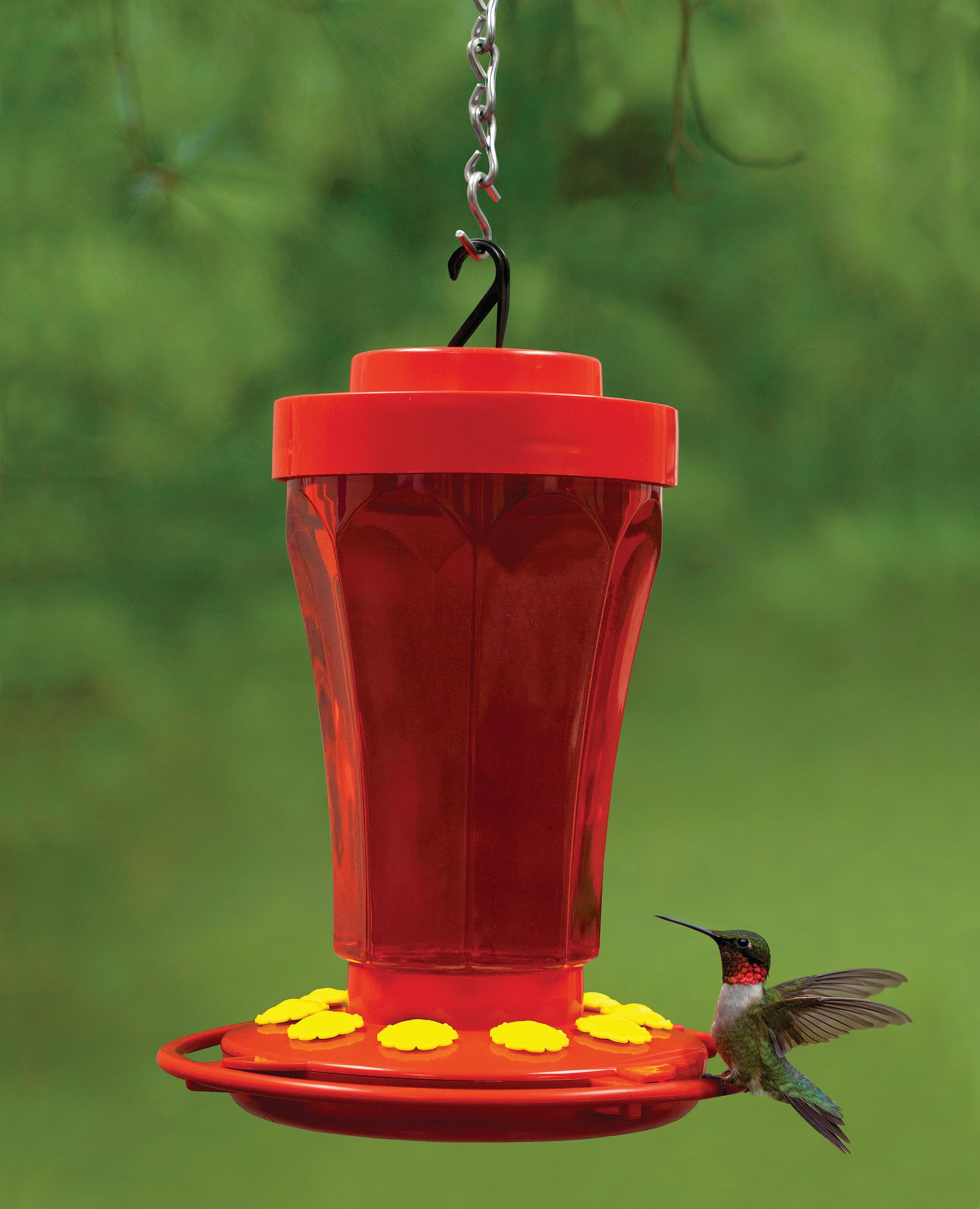 First Nature feeder shows a two-part base for quick disassembly and thorough cleaning.