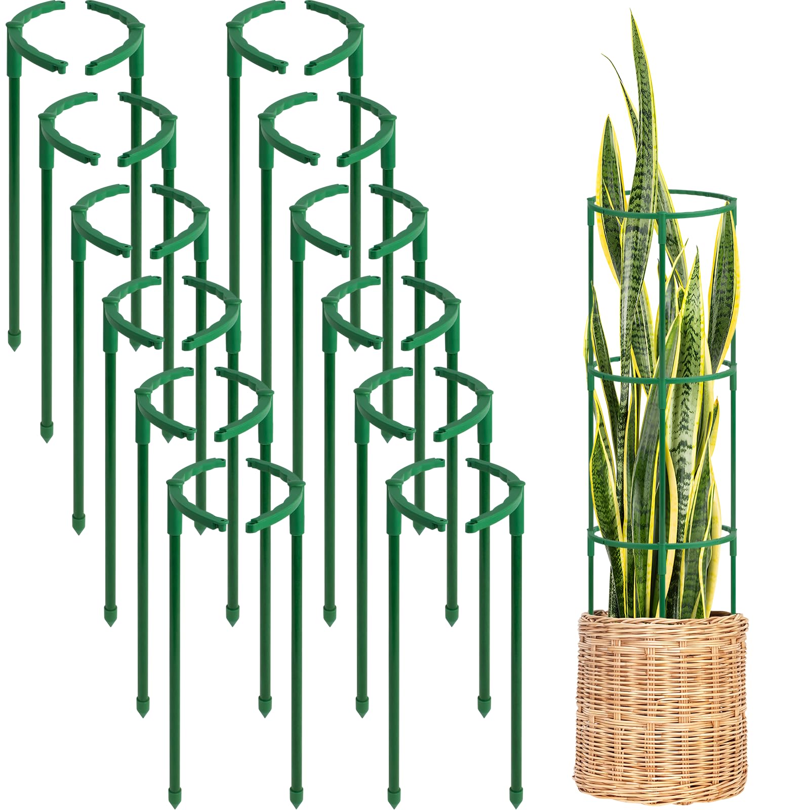 First-zgel half-round stake supports tomato vines for upright growth.
