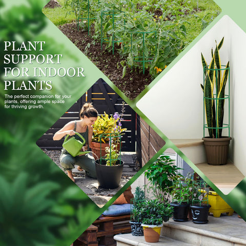 First-zgel indoor plant cage stake blends with greenery and offers durable use.