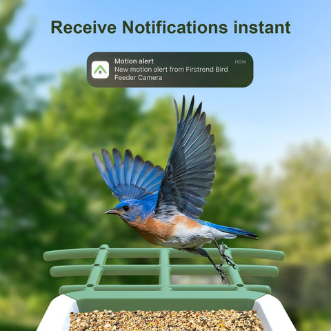 Wireless outdoor bird feeder camera set up without wires over a garden
