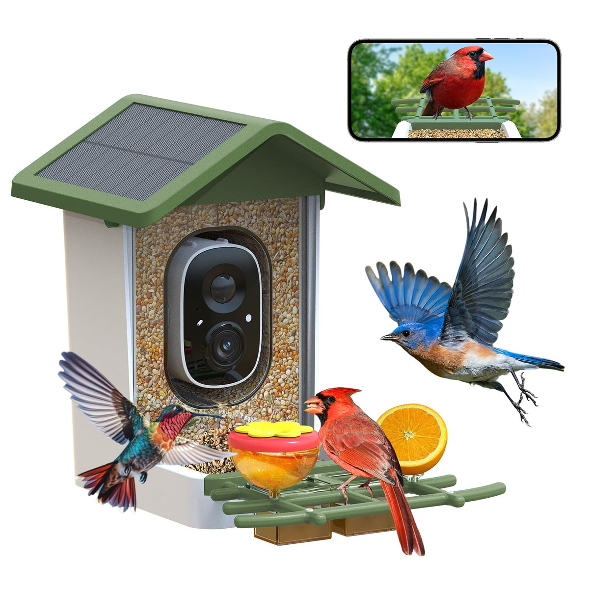 Firstrend smart bird feeder with camera viewable on your phone for easy watching