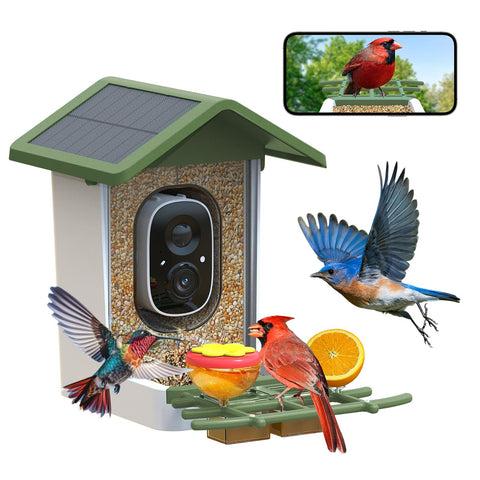 Firstrend smart bird feeder with camera viewable on your phone for easy watching