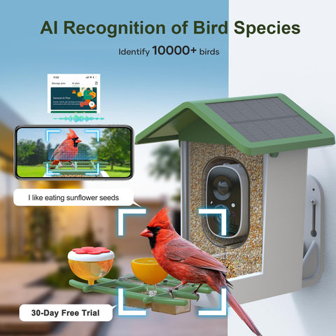 Solar powered bird house staying charged with sunlight outdoors