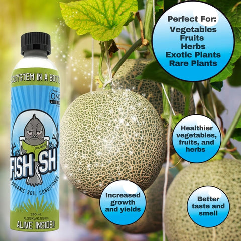 Fish Head Farms organic soil conditioner garden-use shot shows healthier plants and richer soil.
