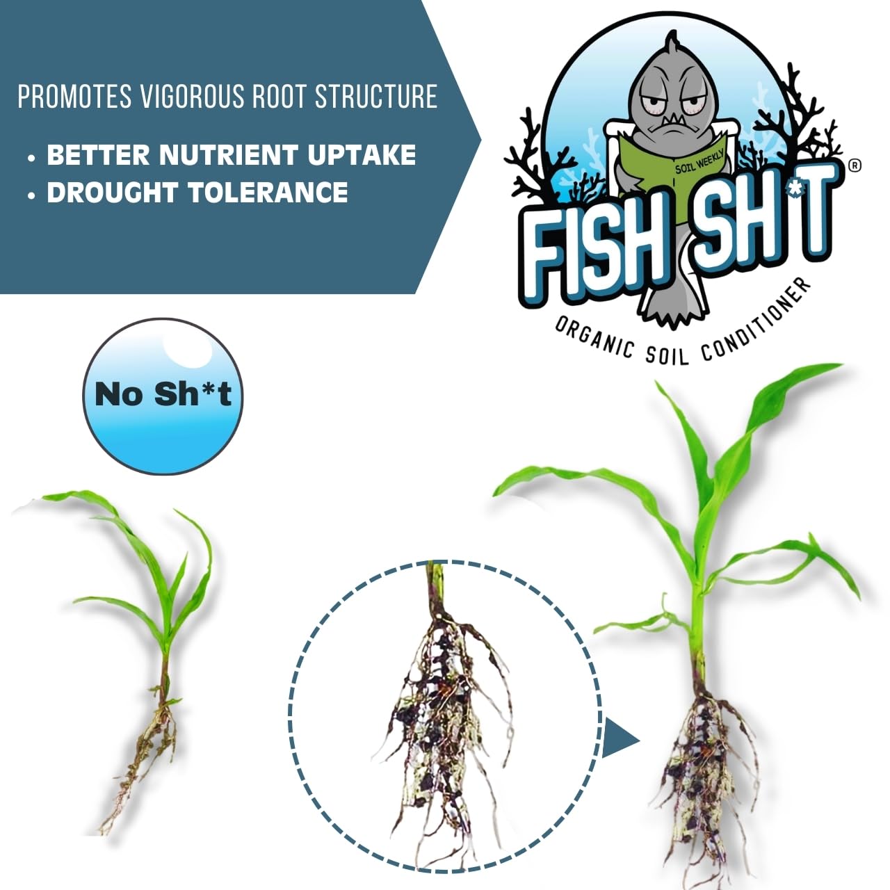 Fish Head Farms Organic Soil Conditioner microbial-profile close-up suggesting diverse beneficial microbes.