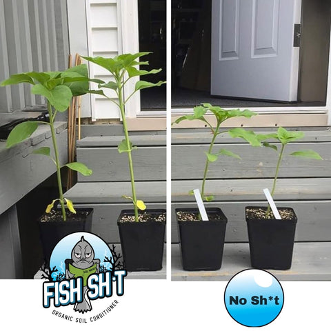 Fish Head Farms Organic Soil Conditioner yield-increase example showing potential crop boosts.