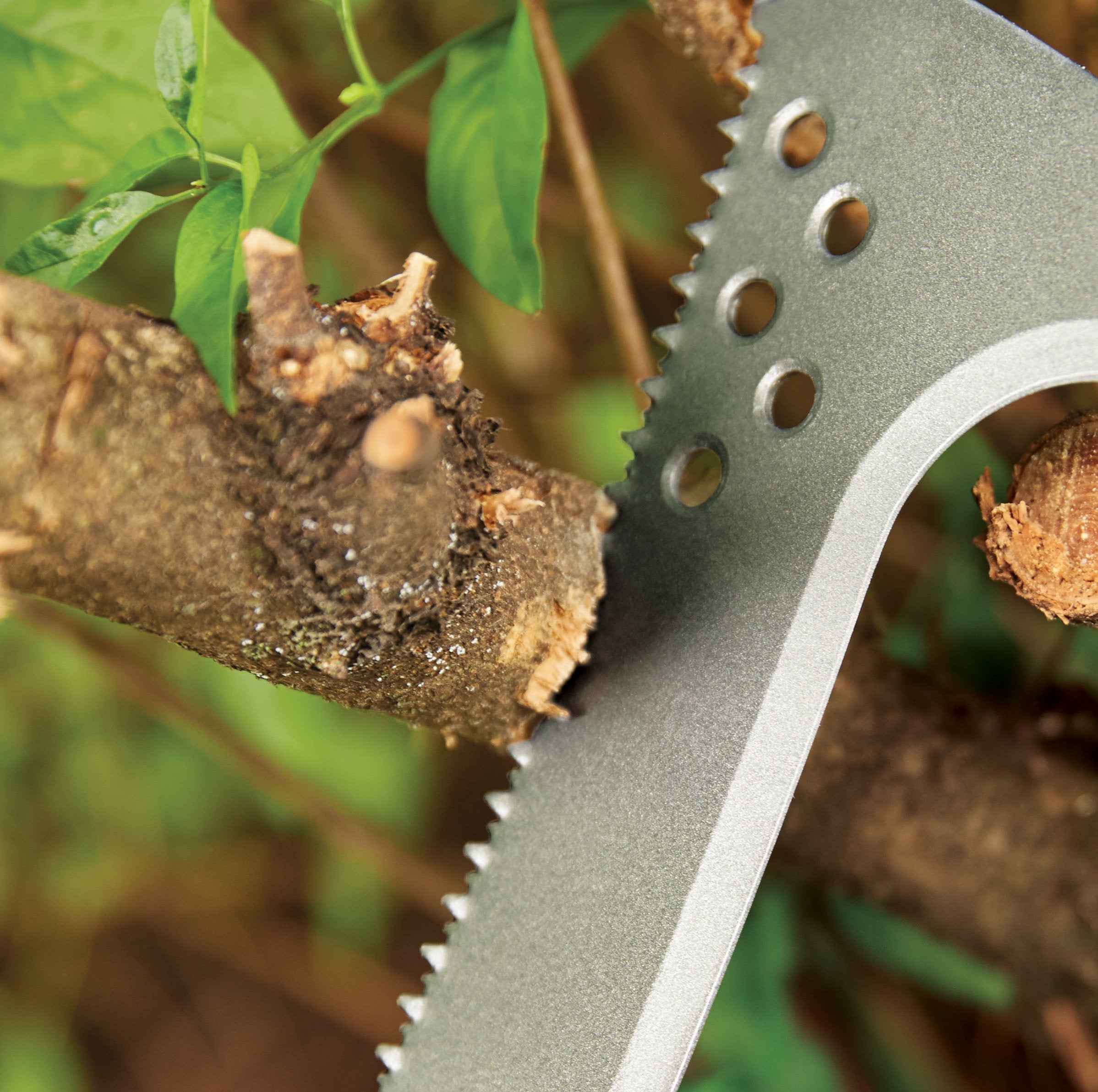 Fiskars billhook saw coarse edge close-up for fibrous wood cuts