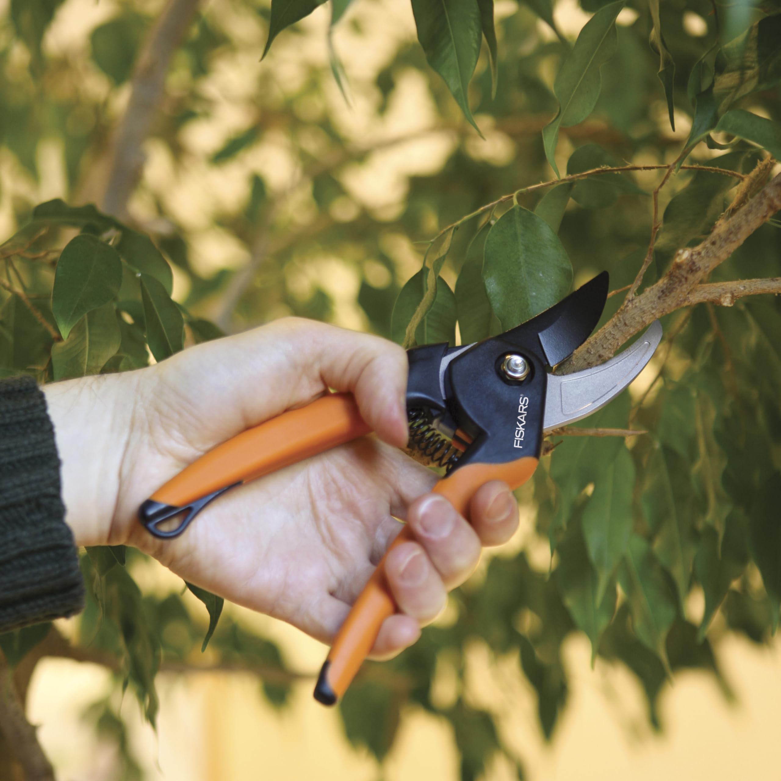 Fiskars softgrip handle enables comfortable pruning during long sessions
