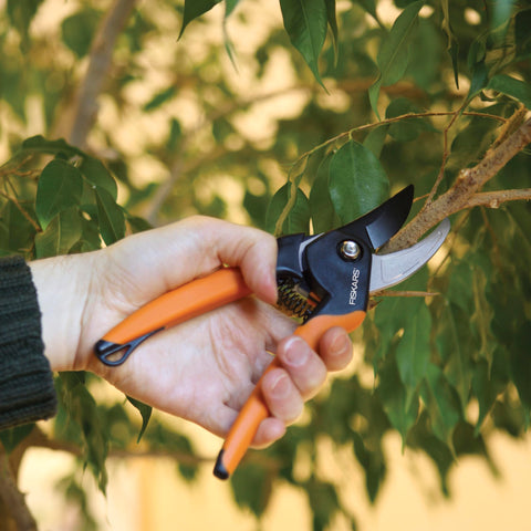 Fiskars softgrip handle enables comfortable pruning during long sessions