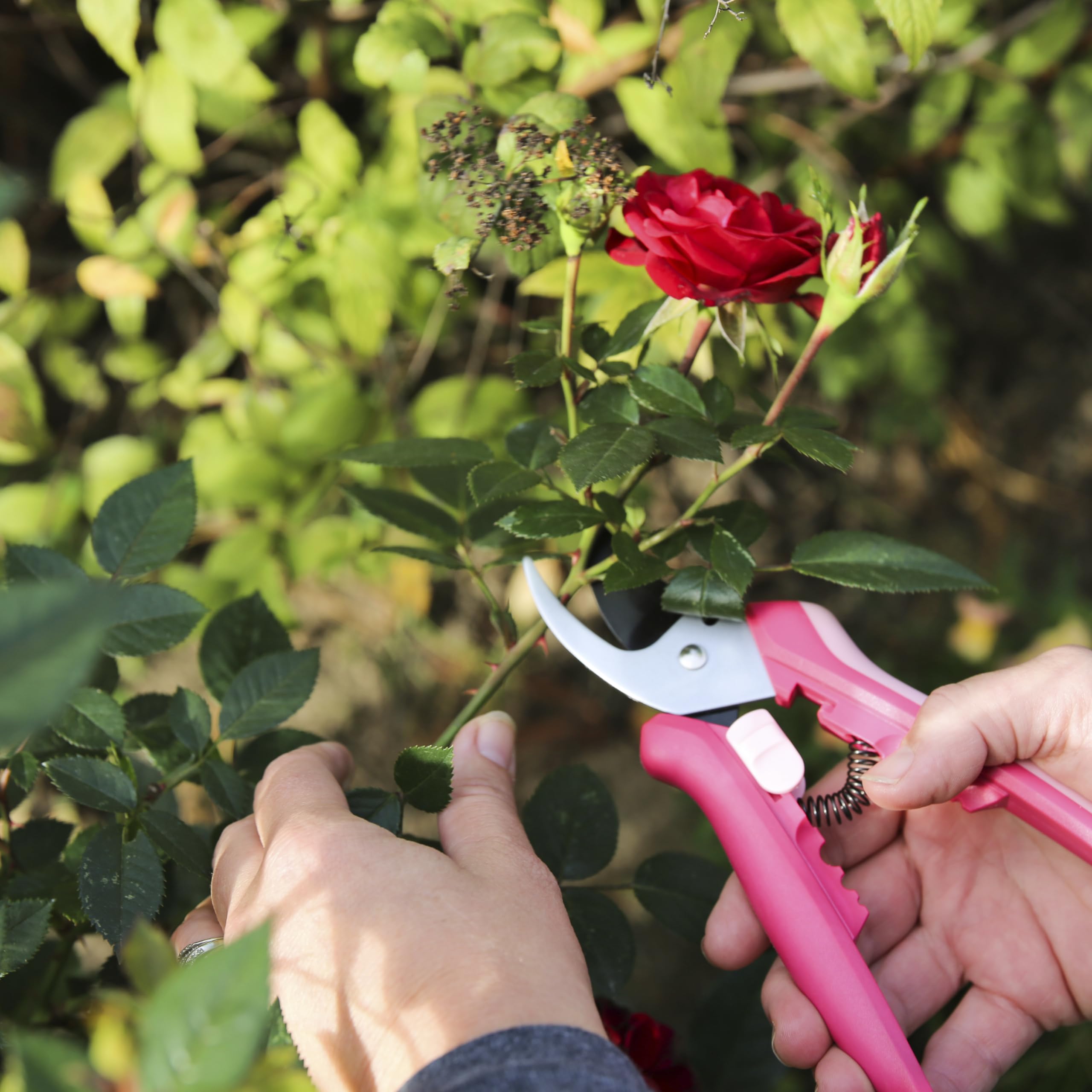 Fiskars Floral Pruner stem stripper used on various stems