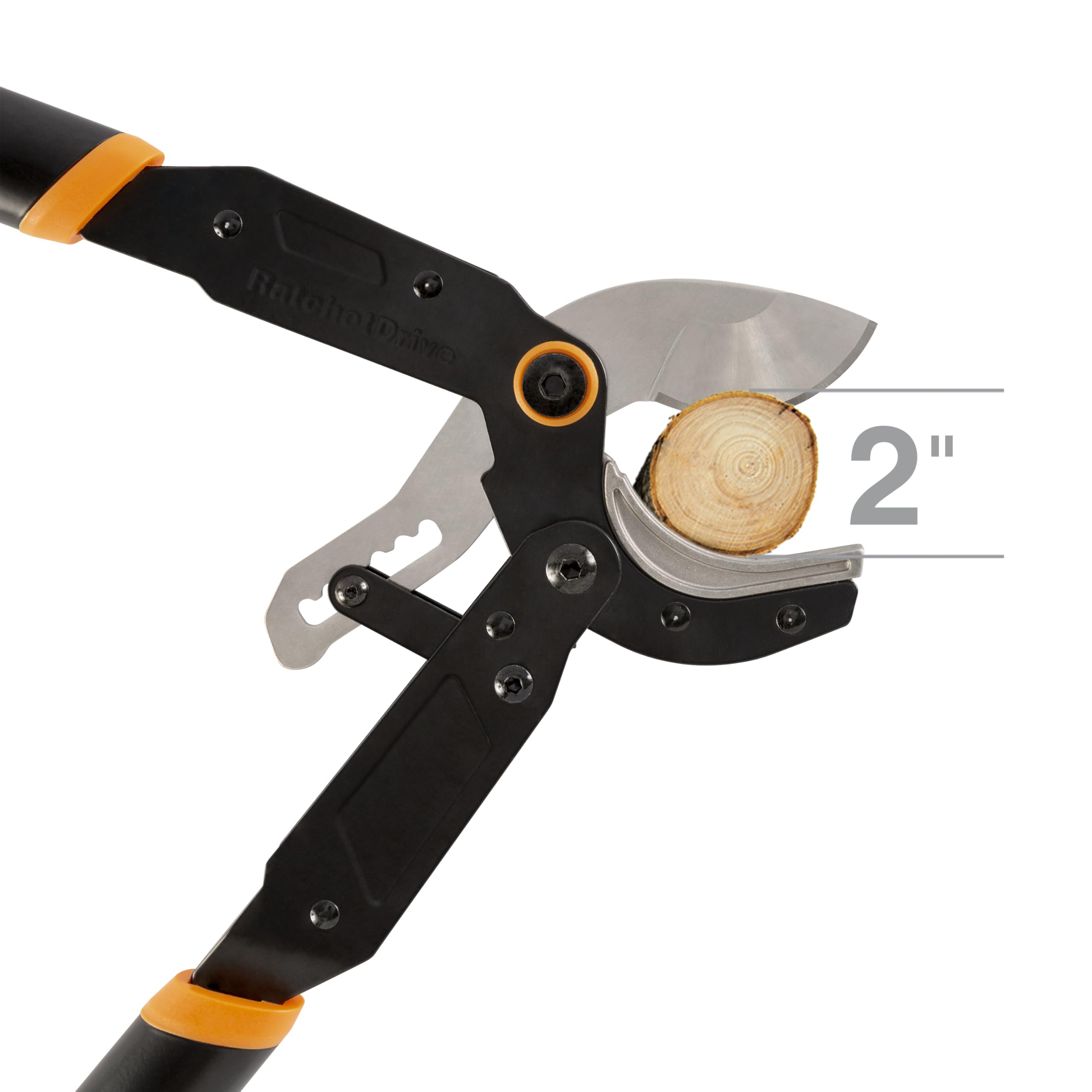 Low-friction coating resists sap and debris for clean gliding