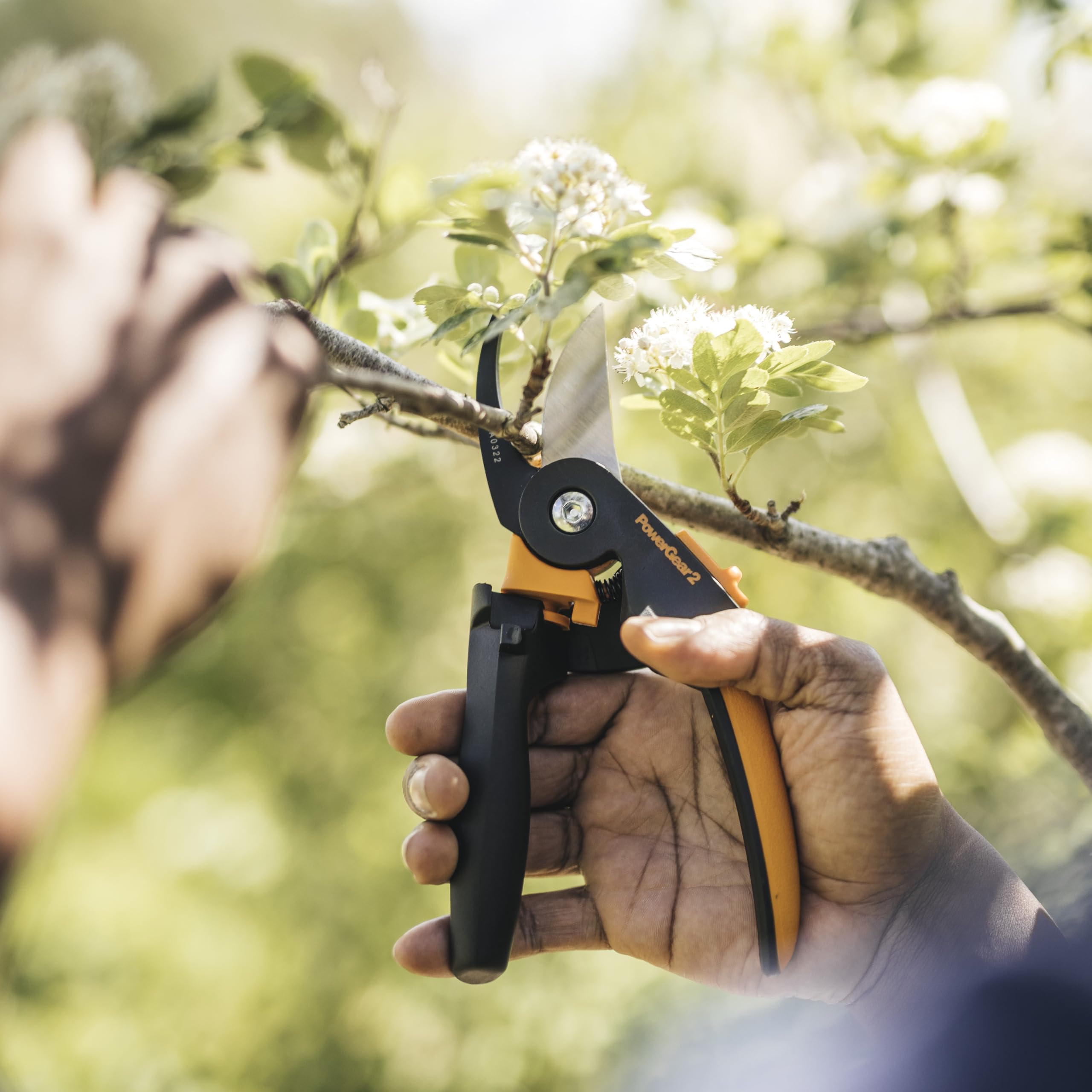 Fiskars pruning in garden setting demonstrates versatile garden tool.
