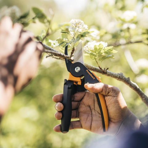 Fiskars pruning in garden setting demonstrates versatile garden tool.