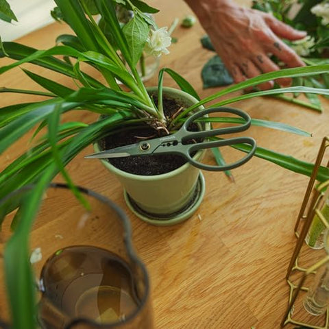 Fiskars Shaper Plant Shears compact-handheld snips for precise trimming of houseplants