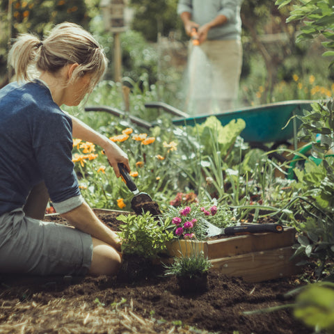 Fiskars Xact cultivator used for weed removal in a flower bed
