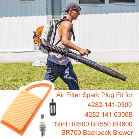 FitBest Air Filter Tune-Up Kit spark plug detail for BR models