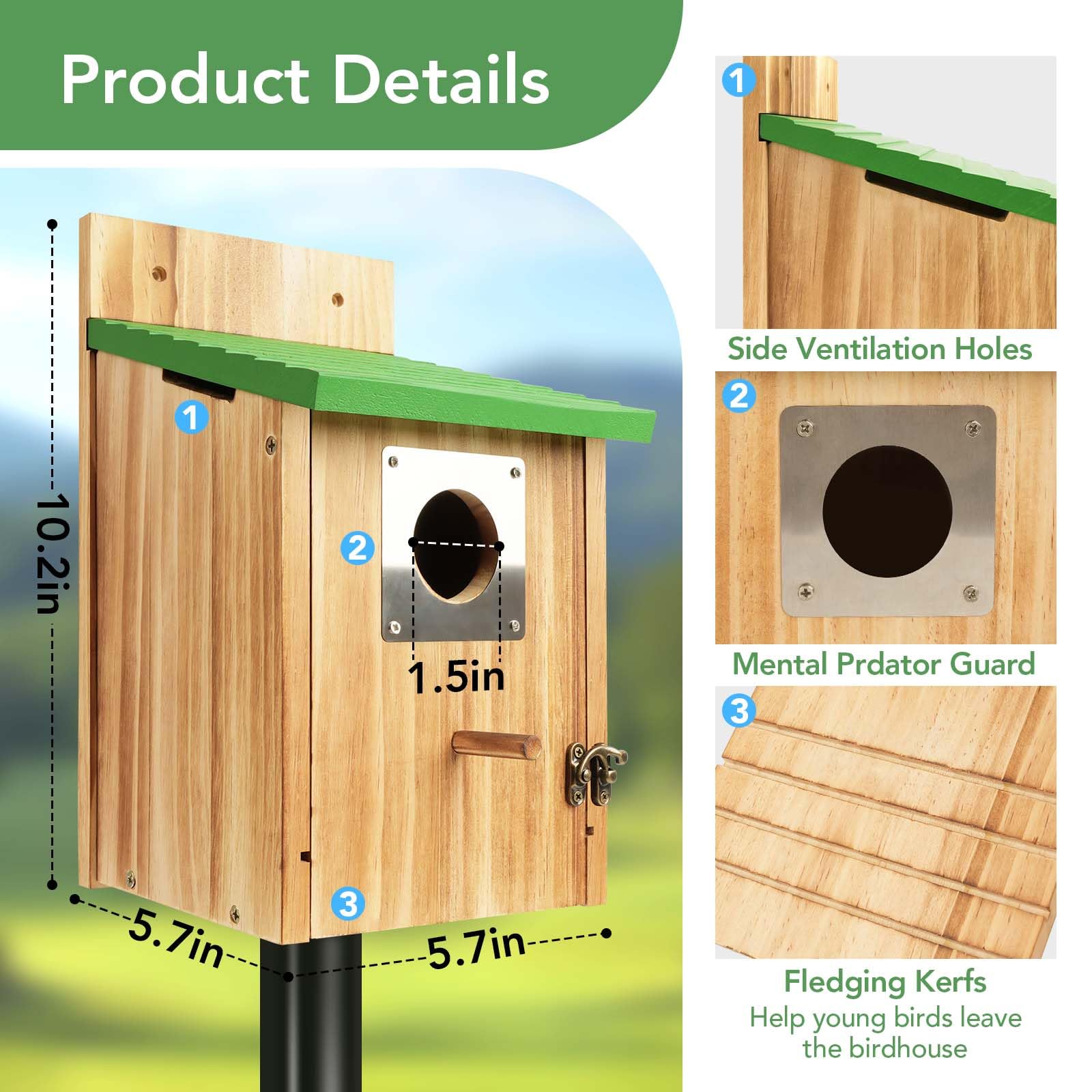 Fitraho bluebird house entrance detail shows a 1.5-inch opening.