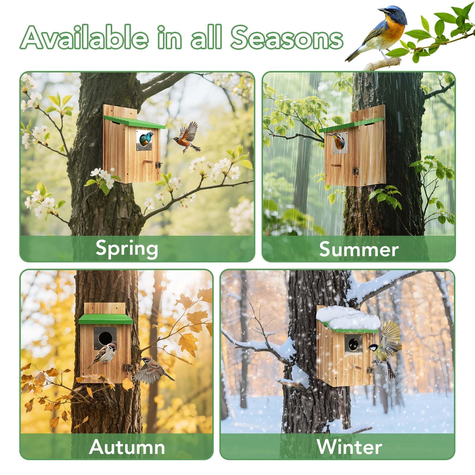 Fitraho bluebird house front-opening design makes cleaning simple.