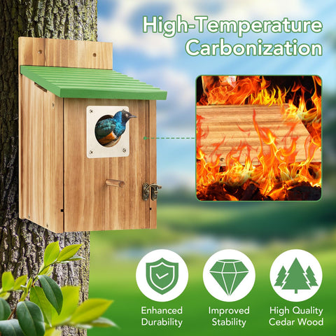 Fitraho bluebird house with predator guard close-up for added safety.