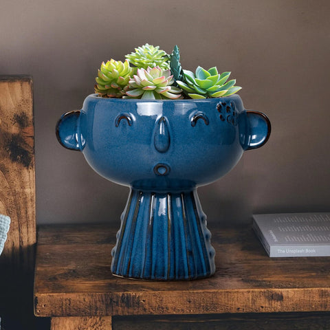 Fivepot blue face planter on desk enhances living room decor.