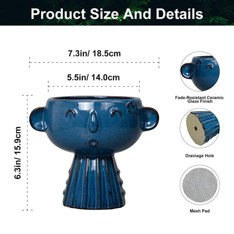 Fivepot blue face ceramic planter suitable for compact 7-inch plants.