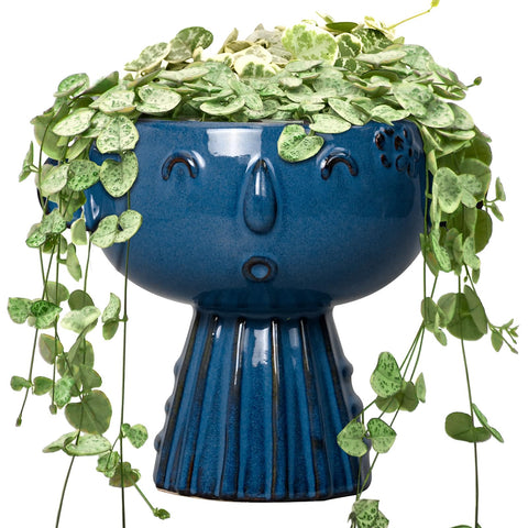 Fivepot blue face head planter closeup, durable ceramic for indoor decor.