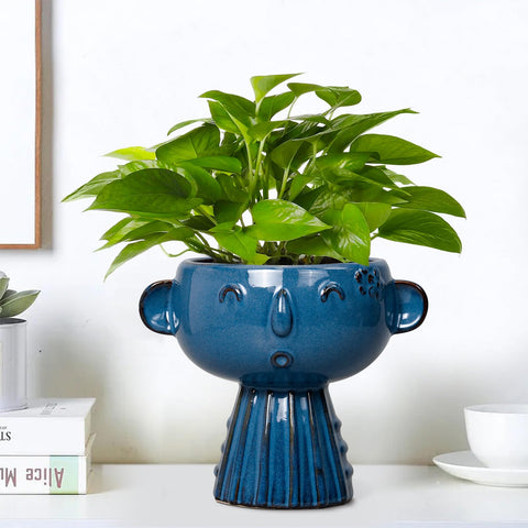 Fivepot head planter with drainage hole promotes healthy roots.