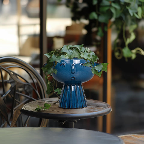 Fivepot head planter pairs with donkey's tail and other succulents.