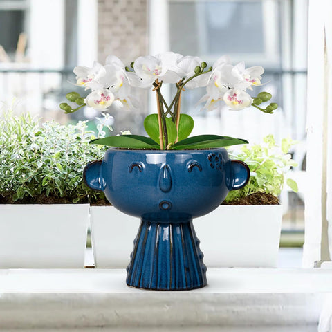 Fivepot blue face planter adds colorfast charm to spaces.