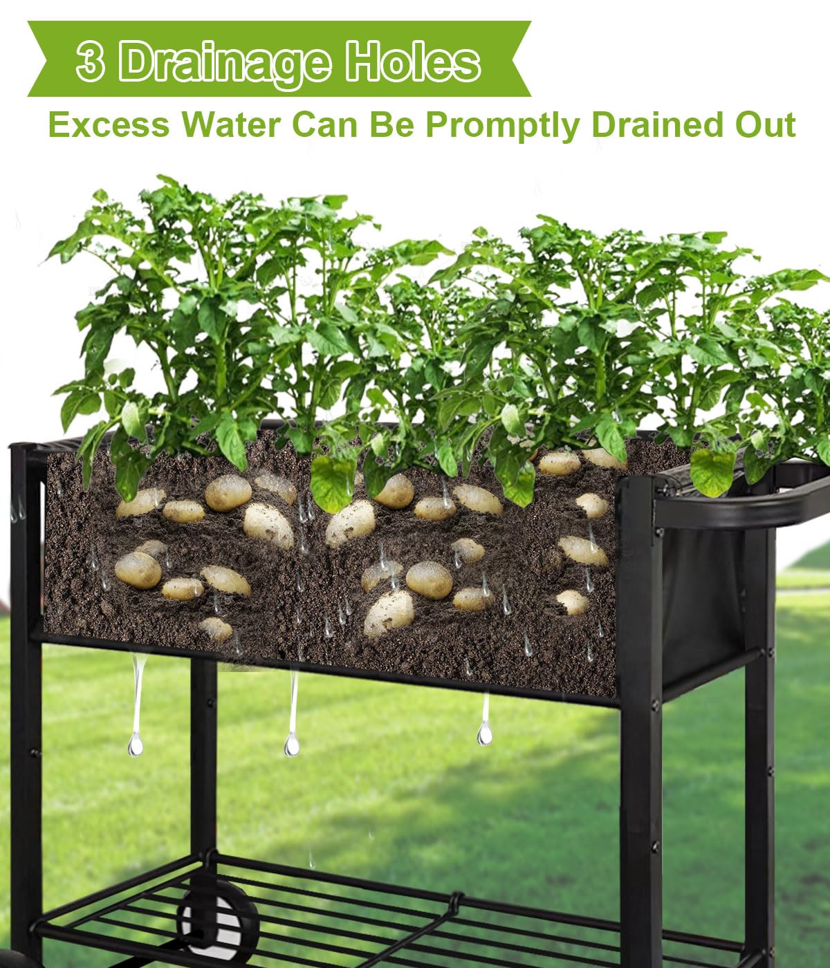 Fiwithy elevated planter at 31 inches enabling comfortable gardening