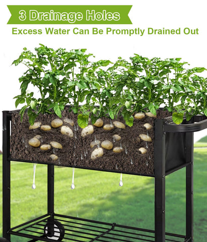 Fiwithy elevated planter at 31 inches enabling comfortable gardening