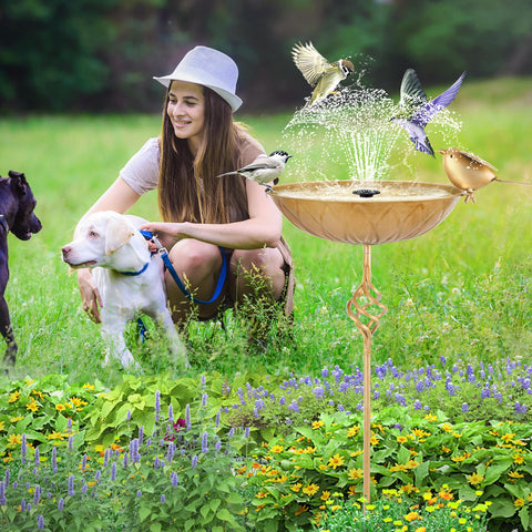 FJJYGYP large basin enables birds to bathe or drink comfortably.