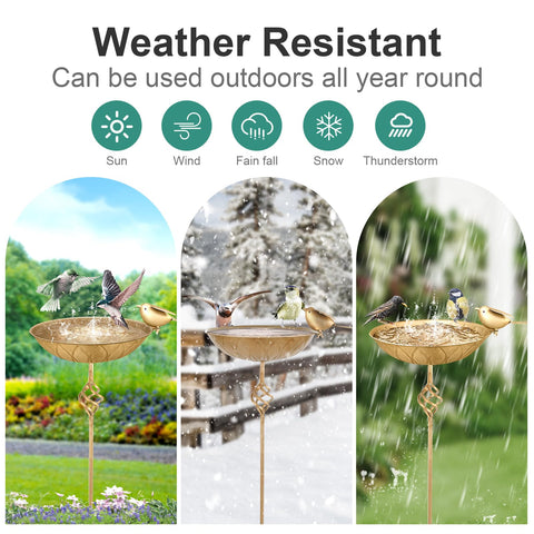 FJJYGYP vintage edge-bird-bath decor enhances garden aesthetics.